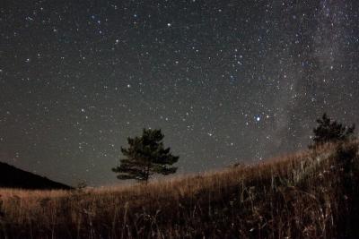 Прикрепленное изображение: y_7ca5f58a.jpg